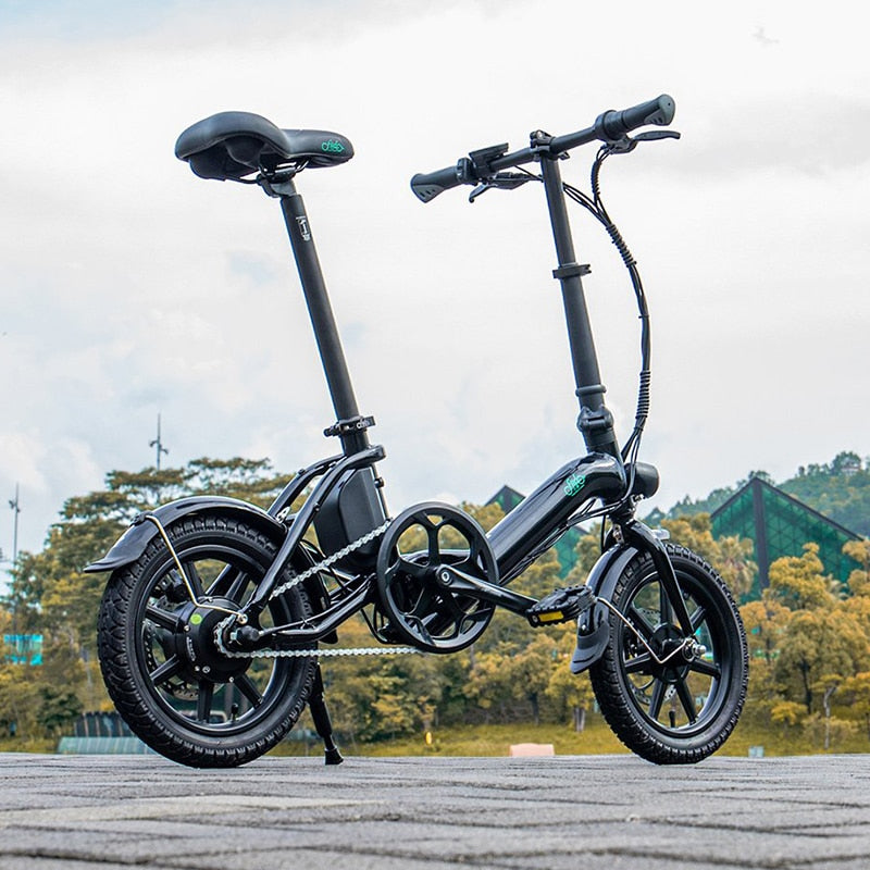 FIIDO D3 PRO Electric Bike with mudguard and light | Electric Power