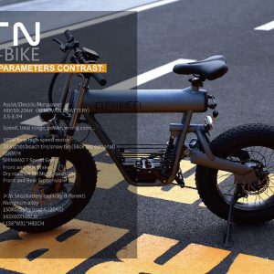 Coswheel T E bike Ah Battery V W Motor Space Grey