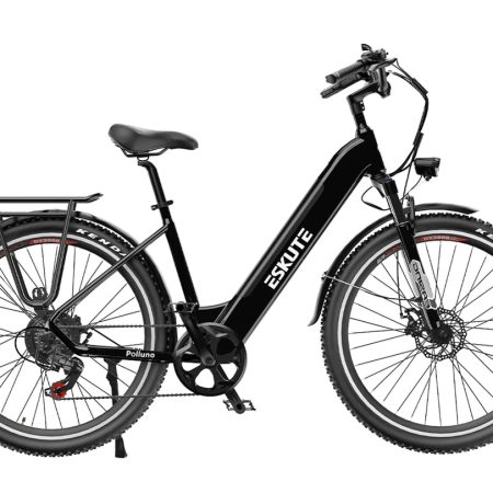 eskute polluno plus city e bike with torque sensor pogo cycles