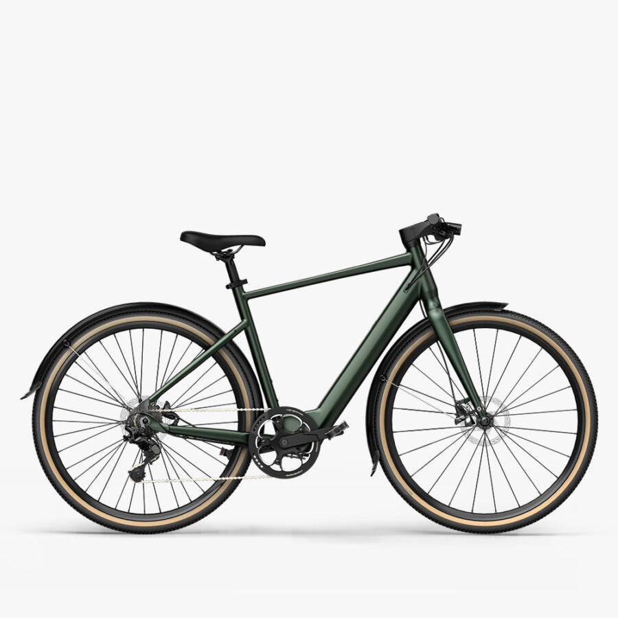 fiido c gravel electric bike dark green with fender x ()