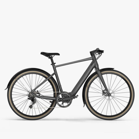 fiido c gravel electric bike grey with fender x