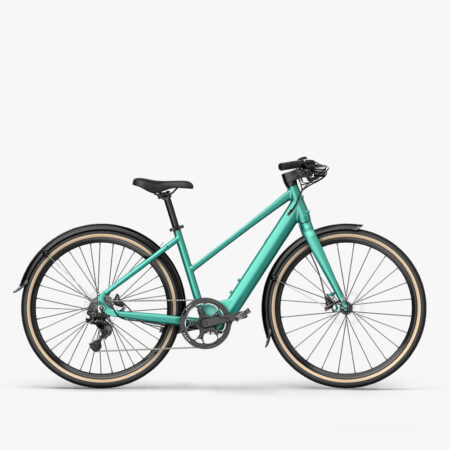 fiido c gravel electric bike green with fender x