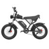 Ridstar Q W Motor Electric Bike w p