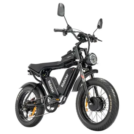 Ridstar Q Pro W Motor E Bike w p