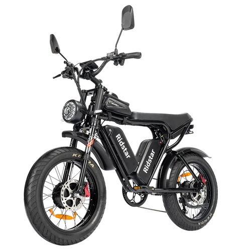 Ridstar Q Pro W Motor E Bike w p